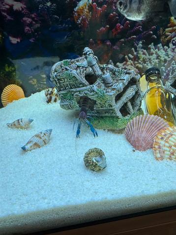 Juwel aquarium alle toebehoren beschikbaar voor biedingen