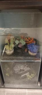 Kleine aquarium, Dieren en Toebehoren, Ophalen, Gebruikt