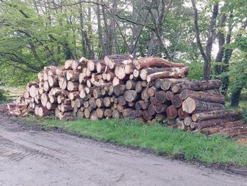 Brandhout op stamlengte