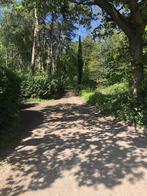Grond te koop in Vorselaar, Immo, Gronden en Bouwgronden, 1500 m² of meer