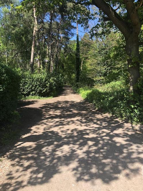 Grond te koop in Vorselaar, Immo, Gronden en Bouwgronden, 1500 m² of meer