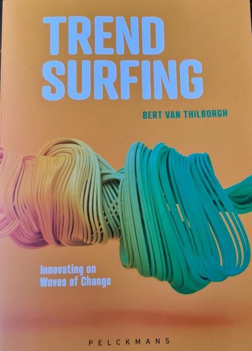 Bert Van Thilborgh - Trendsurfing (Engelse versie), Boeken, Economie, Management en Marketing, Zo goed als nieuw, Ophalen