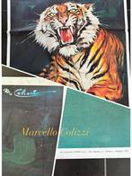 Affiches anciennes de cirque de wiener par Marcello Colizzi, Collections, Enlèvement ou Envoi, Comme neuf