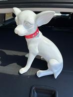 Chihuahua Hond, 40 cm hoog perfecte staat, Ophalen of Verzenden, Zo goed als nieuw