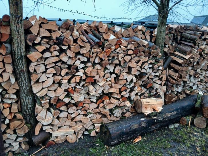 Brandhout,gratis levering, Tuin en Terras, Brandhout, Ophalen