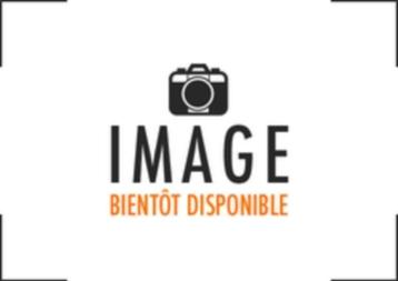 Toyota Yaris 1.5 Hybride / Boite automatique beschikbaar voor biedingen