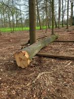 Eiken stam, Tuin en Terras, Brandhout, Eikenhout, Stammen, Ophalen of Verzenden