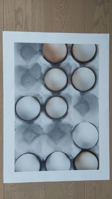 Poster Eggs in a Box beschikbaar voor biedingen