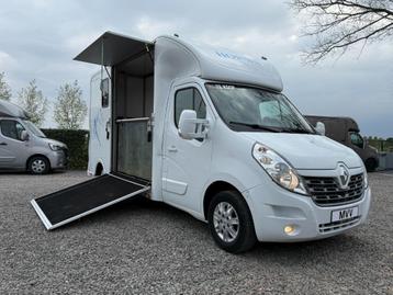 RENAULT MASTER PAARDENWAGEN SODIAK 2020 STALLION 3XL 58d KM beschikbaar voor biedingen