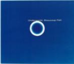 Underworld - Beaucoup Fish, Ophalen of Verzenden, Gebruikt