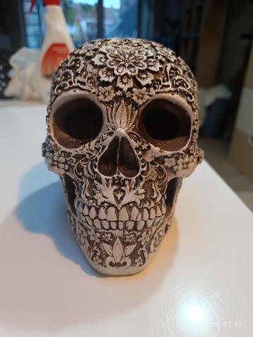 Decoratieve skull beschikbaar voor biedingen