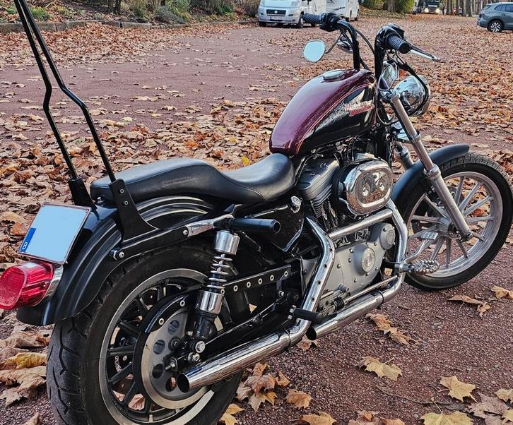 Harley Davidson Sportster 883, Motoren, Motoren | Harley-Davidson, Particulier, Chopper, meer dan 35 kW, 2 cilinders, Motorrijbewijs A