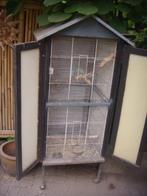 Koppel FORPUS, Dieren en Toebehoren, Meerdere dieren, Dwergpapegaai of Agapornis