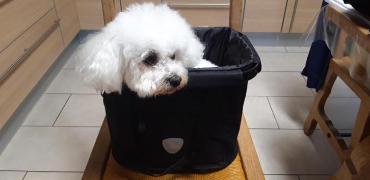 Panier de vélo multifonction NEUF, Fietsen en Brommers, Fietsaccessoires | Fietsmanden, Fietsmand, Ophalen of Verzenden