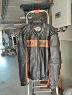 Harley Davidson Moto jacket, Motoren, Kleding | Motorkleding, Dames, Jas | leer, Harley Davidson, Nieuw zonder kaartje