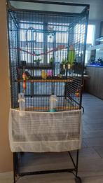 Vogelkooi met 2 kanaries te koop, Dieren en Toebehoren, Ophalen, Vogelkooi