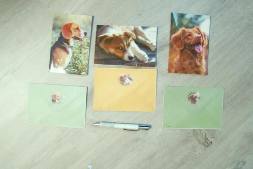 Wenskaarten thema hond 3 stuks met 4 kleurenpen + envelop, Diversen, Wenskaarten, Nieuw, Ophalen of Verzenden