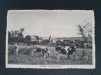 Wanne Trois-Ponts Vue panoramique Cow Vache, Collections, Affranchie, 1920 à 1940, Enlèvement ou Envoi, Liège