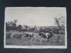 Wanne Trois-Ponts Vue panoramique Cow Vache, Enlèvement ou Envoi, 1920 à 1940, Affranchie, Liège