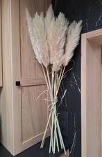 Mooie bundel pampas pluimen, Ophalen, Nieuw