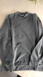 Grijze sweater maat small Zara, Kleding | Heren, Truien en Vesten, Zo goed als nieuw, Ophalen