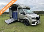 Mercedes-Benz Sprinter 319 AMG 2-paards paardenvrachtwagen B, Dieren en Toebehoren, Gebruikt, Info@hulshof-trading.nl, Overige typen