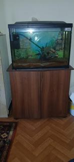 aquarium, Dieren en Toebehoren, Ophalen, Gebruikt