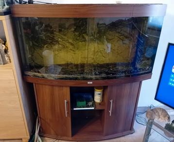 Rio juwel vision 450, 150 cm met verwarming+filter+onderkast beschikbaar voor biedingen