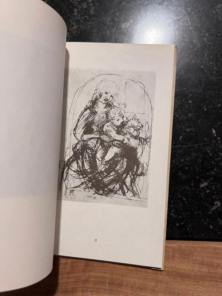Handzeichnungen - Leonardo da Vinci, Boeken, Kunst en Cultuur | Beeldend, Gelezen, Schilder- en Tekenkunst, Ophalen of Verzenden