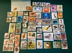 Lot postzegels thema vogels (2), Postzegels en Munten, Postzegels | Thematische zegels, Ophalen of Verzenden, Dier of Natuur, Gestempeld
