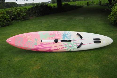 surfplank merk BIC, Watersport en Boten, Windsurfen, Zo goed als nieuw, Complete set, 300 cm of meer, Met vin(nen), Met draagtas