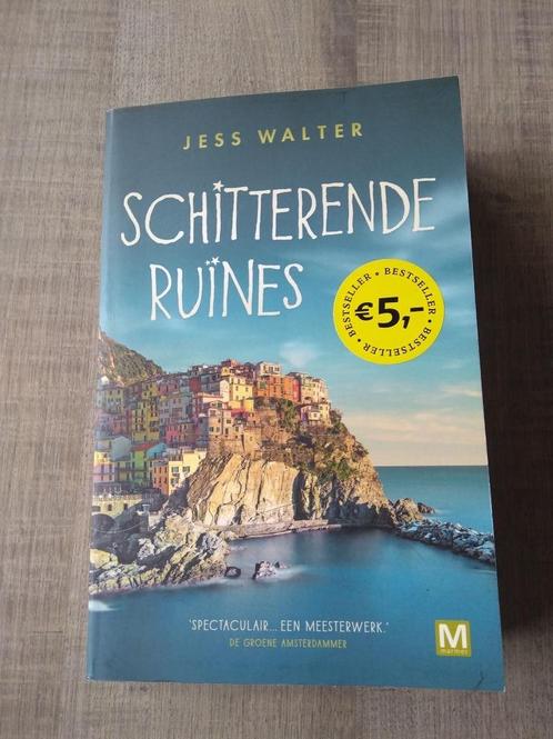 schitterende ruïnes, Boeken, Romans, Ophalen of Verzenden