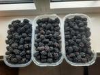 3kg braambes voor 5 €, Tuin en Terras, Ophalen, Nieuw