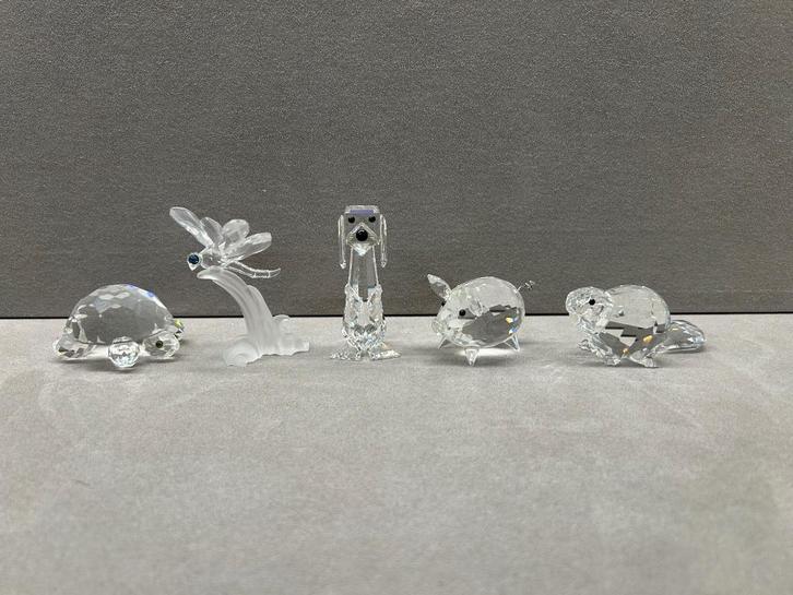 Swarovski 10 Euro stuk, Verzamelen, Swarovski, Nieuw, Figuurtje, Ophalen of Verzenden