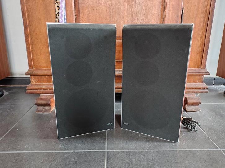 Beovox S30 type 6317, Audio, Tv en Foto, Luidsprekerboxen, Ophalen