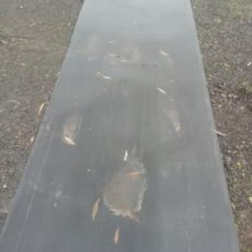 stevige matten -rollen rubber -stalmatten ;ZONDER staal beschikbaar voor biedingen