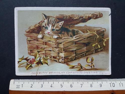 Chromo Kat Poes Au drapeau Bleu Charleroi G.E. Gust Berlo, Verzamelen, Foto's en Prenten, Gebruikt, Prent, Dier, Voor 1940, Ophalen of Verzenden
