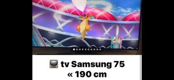 Samsung tv van 75 x 190 cm, Audio, Tv en Foto, Televisies, Samsung