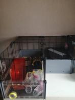 Hamsterkooi Ferplast met toebehoren, Dieren en Toebehoren, Ophalen, Zo goed als nieuw, Kooi, Hamster