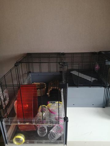 Cage à hamster Ferplast avec accessoires, Enlèvement, Comme neuf, Cage, Hamster