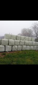 Voordroog, Dieren en Toebehoren, Ophalen of Verzenden