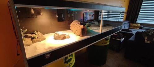 Terrarium, Dieren en Toebehoren, Reptielen en Amfibieën | Toebehoren, Gebruikt, Terrarium of Paludarium, Ophalen