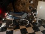 Honda Dax 125, Particulier