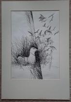 Grote pentekening van F. Versmissen 1981 'Meeuwen', Ophalen of Verzenden