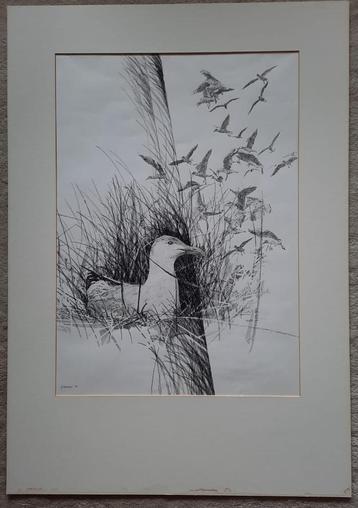 Grote pentekening van F. Versmissen 1981 'Meeuwen' beschikbaar voor biedingen