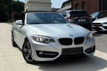 BMW 220 Cabrio Sportline *M-Stuur* *CAM**Leder**1st Owner* beschikbaar voor biedingen