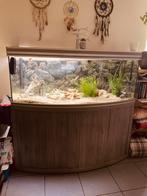 Aquarium, Dieren en Toebehoren, Ophalen, Zo goed als nieuw