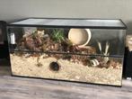 Hamsterkooi met Schuifruiten - Terrarium voor Hamsters Kopen, Dieren en Toebehoren, Minder dan 60 cm, Ophalen of Verzenden, Hok