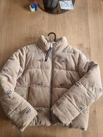 Winterjas tommy hilfiger, Ophalen of Verzenden, Zo goed als nieuw