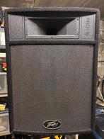 2x Peavy  PRO-15 pa luidsprekers 500w RMS, Audio, Tv en Foto, Luidsprekerboxen, Gebruikt, 120 watt of meer, Front, Rear of Stereo speakers